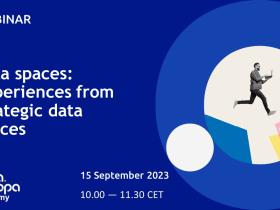 Data spaces: Experiences from strategic data spaces